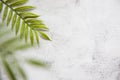 Floral concept with green palm leaves on gray marble background top view mock-up, flatlay nature white Royalty Free Stock Photo