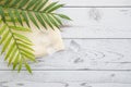 Floral concept with green palm leaves on gray wood background top view mock-up, flatlay nature white Royalty Free Stock Photo