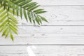 Floral concept with green palm leaves on gray wood background top view mock-up, flatlay nature white Royalty Free Stock Photo