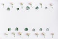 Floral concept with pastel flowers on white background top view mock-up