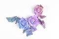 Floral concept. roses close-up on a white background. minimalistic wedding arrangement. flowers painted in unusual pastel colors.