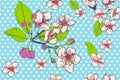 Floral conception background. Cherry flowers on the pastel blue screen with white polka dots.