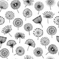 Floral dandelion. Black dandelions graphic, abstract flowers. Natural botanical print, vintage blooming decorative