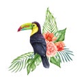 Floral decor with palm leaves and toucan bird. Watercolor illustration. Hand drawn tropical flowers with exotic jungle Royalty Free Stock Photo