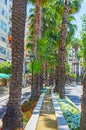 Floral decoration of Ataturk Boulevard in Antalya