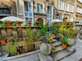 floral decoration of the historic terrace