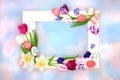 Floral and Decorative Easter Egg Background Border