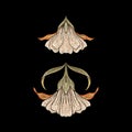 Floral decorative elements In art nouveau style Royalty Free Stock Photo