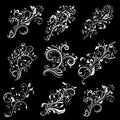 Floral decorative elements. White designs on black background Royalty Free Stock Photo
