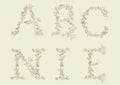 Floral, decorative font.