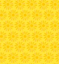 Floral decorative seamless texture Background wit