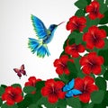 Floral design background. Hibiscus flowers with bird, butterflies.