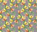 Floral design background with leaves on beautiful gray background Royalty Free Stock Photo