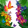 Floral design background. Tropical orchid flowers, birds and but