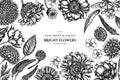Floral design with black and white poppy flower, gerbera, sunflower, milkweed, dahlia, veronica Royalty Free Stock Photo