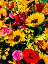 Floral design. Bouquet of flowers, close-up composition of a bouquet of flowers. women`s day, wedding, birthday Royalty Free Stock Photo