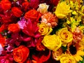 Floral design. Bouquet of flowers, close-up composition of a bouquet of flowers. women`s day, wedding, birthday Royalty Free Stock Photo