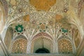 Floral Design on ceiling on Tomb of Princess Sultan Nithar Begam