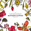 Floral design with colored ylang-ylang, impatiens, daffodil, tigridia, lotus, aquilegia