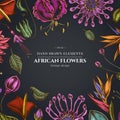 Floral design on dark background with african daisies, fuchsia, gloriosa, king protea, anthurium, strelitzia