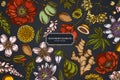 Floral design on dark background with almond, dandelion, ginger, poppy flower, passion flower, tilia cordata