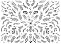 Floral design elements