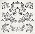 Floral design elements. vector illustration