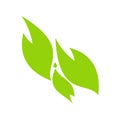 Floral design herb logo green leave icon illustration