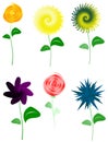 Floral Design Illustration