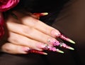 Floral design on nails. Royalty Free Stock Photo
