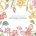 Floral design with pastel ylang-ylang, impatiens, daffodil, tigridia, lotus, aquilegia