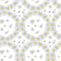 Daisy Wreath Seamless Pattern on Whiite Background.