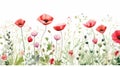 floral design with red green flower garden watercolor seamless border on white background Royalty Free Stock Photo