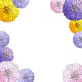 Floral design, square frame in asters and chrysanthemums. Vector template for cards and invitations. objects are not cropped