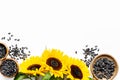 Sunflower with seeds frame on white background top view copyspace Royalty Free Stock Photo
