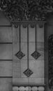 Floral detail growing on the column