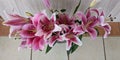 Floral display including Flashpoint pink and white Oriental Trumpet Lily overhead view