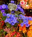 Floral display on sidewalk of Paris Royalty Free Stock Photo