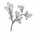 Floral doodle design elements. Hand drawn decorative leaves and wreaths. Flower ornament dividers. Tree branches with leaf and Royalty Free Stock Photo
