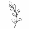 Floral doodle design elements. Hand drawn decorative leaves and wreaths. Flower ornament dividers. Tree branches with leaf and Royalty Free Stock Photo