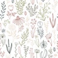 Floral doodle seamless pattern. Vector hand-drawn illustration of flowers and herbs. Thin line sketch. Royalty Free Stock Photo