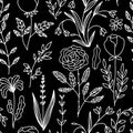 Floral doodle seamless pattern. Vector hand-drawn illustration of flowers and herbs. Thin line sketch. Royalty Free Stock Photo