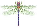 Floral dragonfly isolated