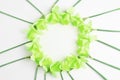 Floral easter concept. festive round frame of spring bright green daffodil flowers on a white background close-up. flat lay, Royalty Free Stock Photo