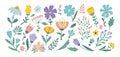Floral Easter pattern, flowers and leaves isolated elements. Summer or spring collection for notebook decoration, garden Royalty Free Stock Photo