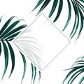 Floral elegant invite card gold frame design: tropical exotic dark palm leaves. Royalty Free Stock Photo