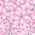 Floral element seamless background. Royalty Free Stock Photo