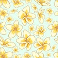Floral element seamless background. Royalty Free Stock Photo