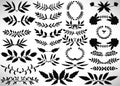 Big Floral Set of black hand drawn dividers, laurel wreaths, leaves, flowers, branches isolated on white