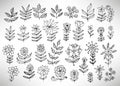 Big set of hand drawn thin line black grungy  doodle floral icons, branches, plants, petals, fantasy flowers. Royalty Free Stock Photo